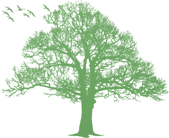 Oak Tree Silhouette - Stonehenge (570x464)