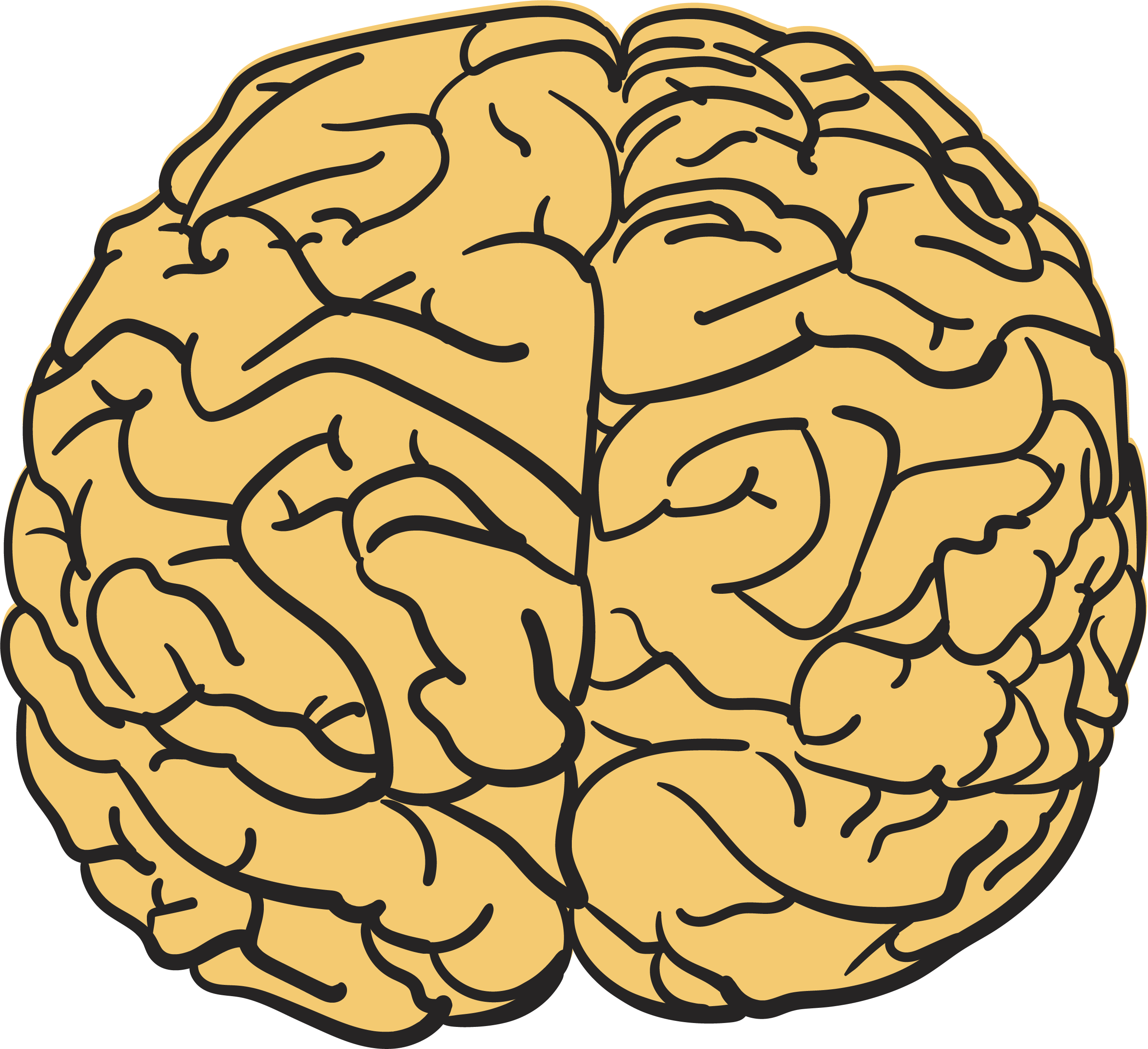 Human Brain T Shirt Agy Drawing - Dibujo Cerebro Png (2650x2422)