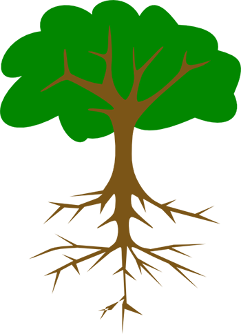 The Taproot, As The First And Earliest Of A Plant's - Tree With Tap Root (350x484)