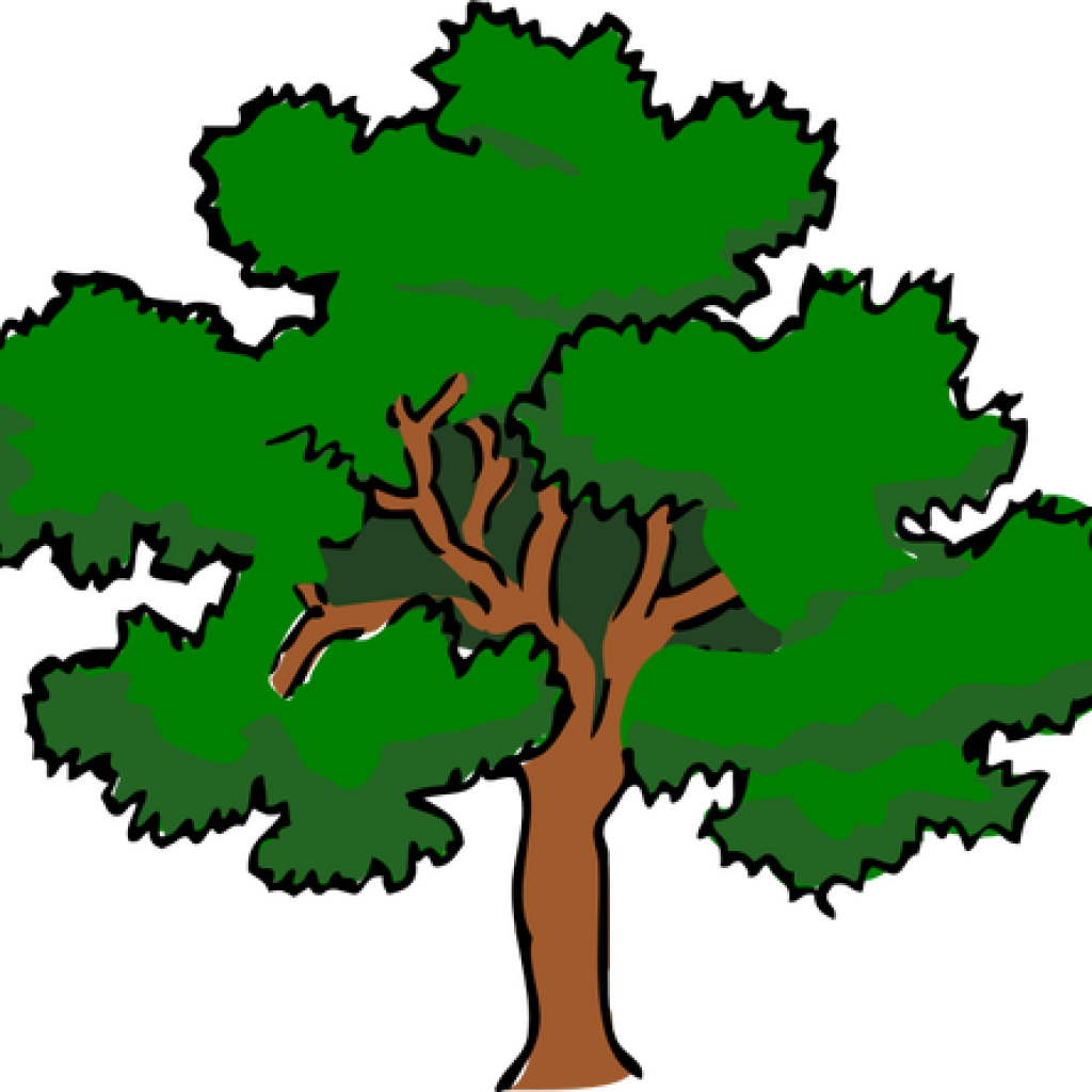 Oak Tree Clip Art Vector Clip Art Of Oaktree With Wide - Prime Factorization Of 92 (1024x1024)