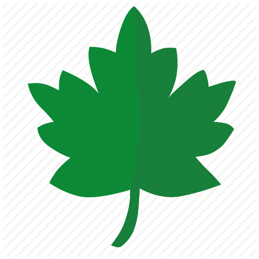 Oak Leaf Icon - Printable Leaves For Thankful Tree (512x512)