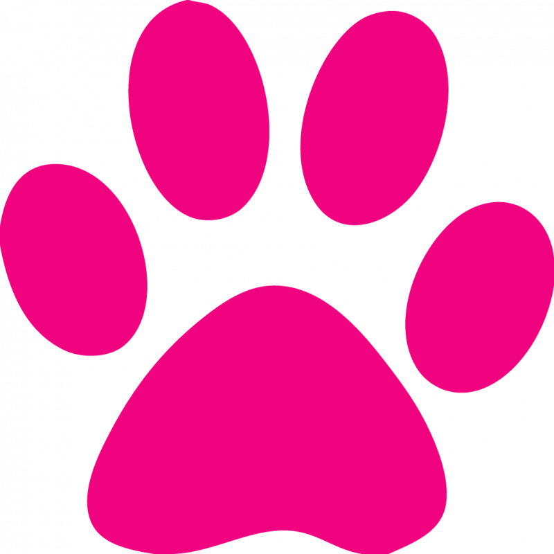 Custom Cat Paw Temporary Tattoos - Paw Print Clip Art (800x800)