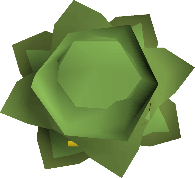 Cabbage Round Shield Detail - Old Cabbage Runescape (792x722)