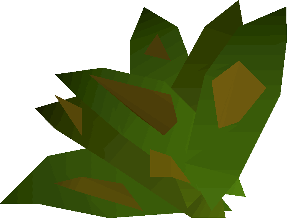Grimy Ranarr Weed - Herb Osrs (972x740)