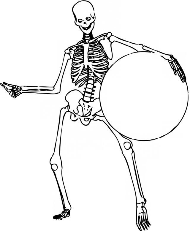 Human Skeleton Coloring Pages Coloring Pages Amp Pictures - Many Bones Are In Your Spine (640x778)