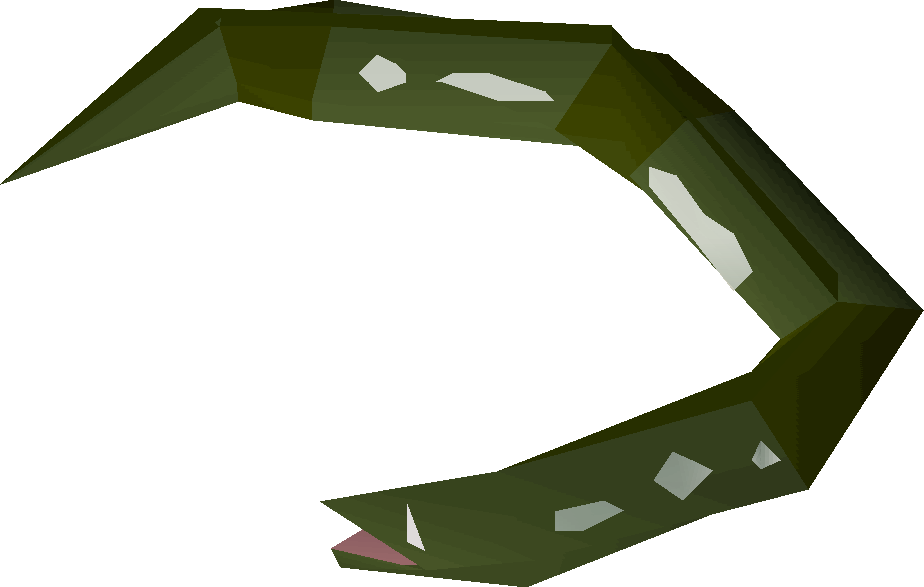 Raw Slimy Eel Detail - Old School Runescape (924x587)