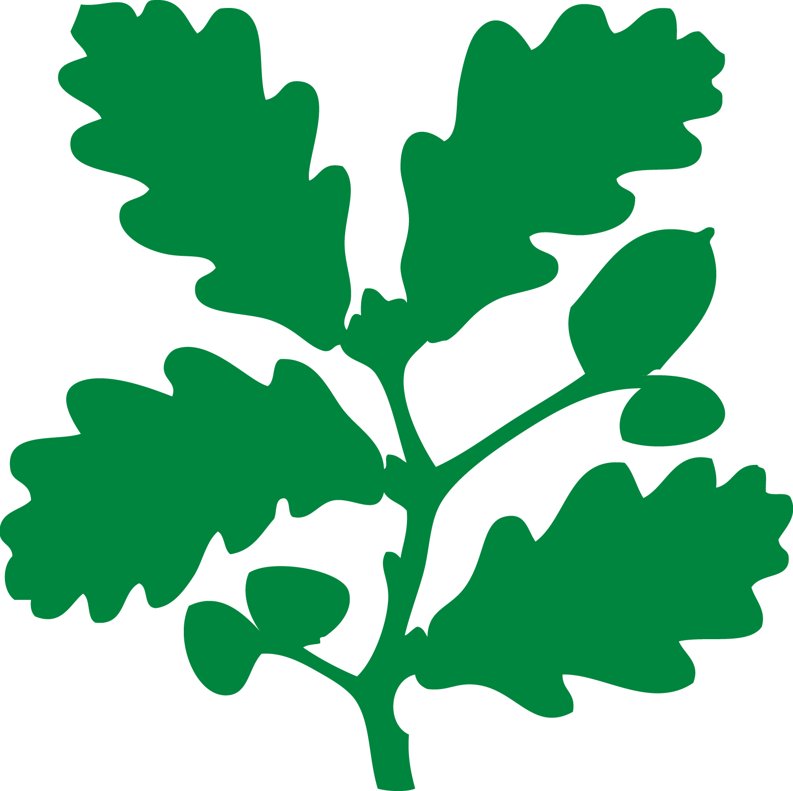The Oak Leaf Symbol, Which We've Used Since The 1930s, - Different Charities In The Uk (1592x1589)