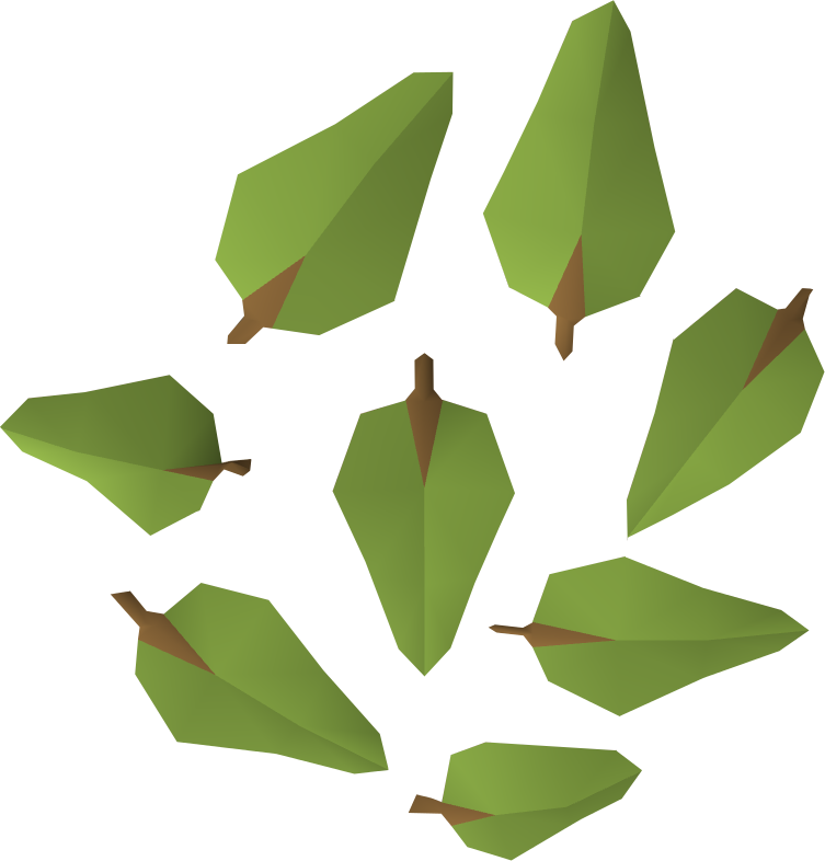 Leaves Detail - Wiki (753x786)