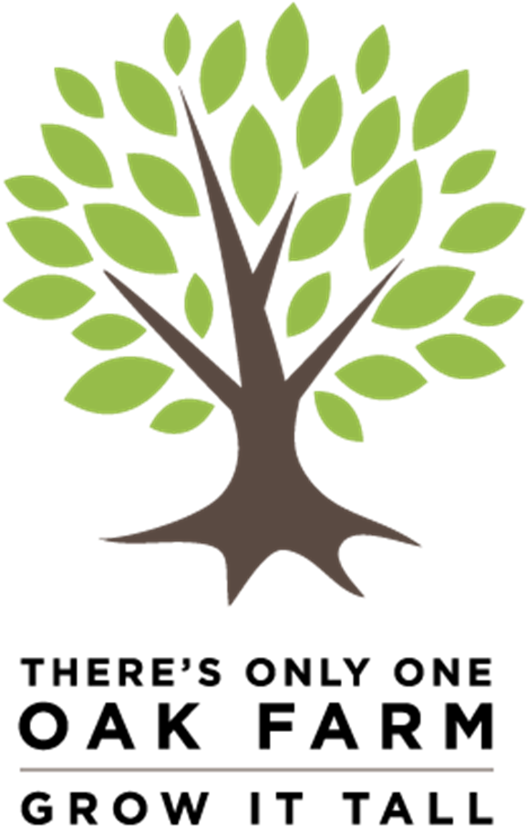 Tall Oak Tree Fund Graphic - Zumanity (603x940)