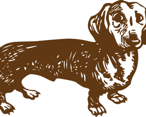 Dachshund Converted - ダックス フンド イラスト (478x384)