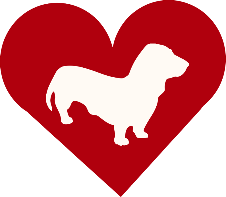 Basset Bleu De Gascogne In Heart Outdoor Vinyl Silhouette - Dachshund (733x640)