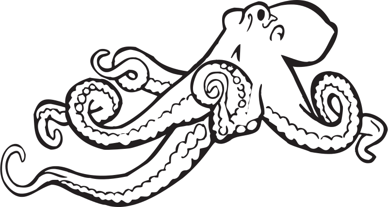 320 × 171 Pixels - Octopus Black And White (800x427)