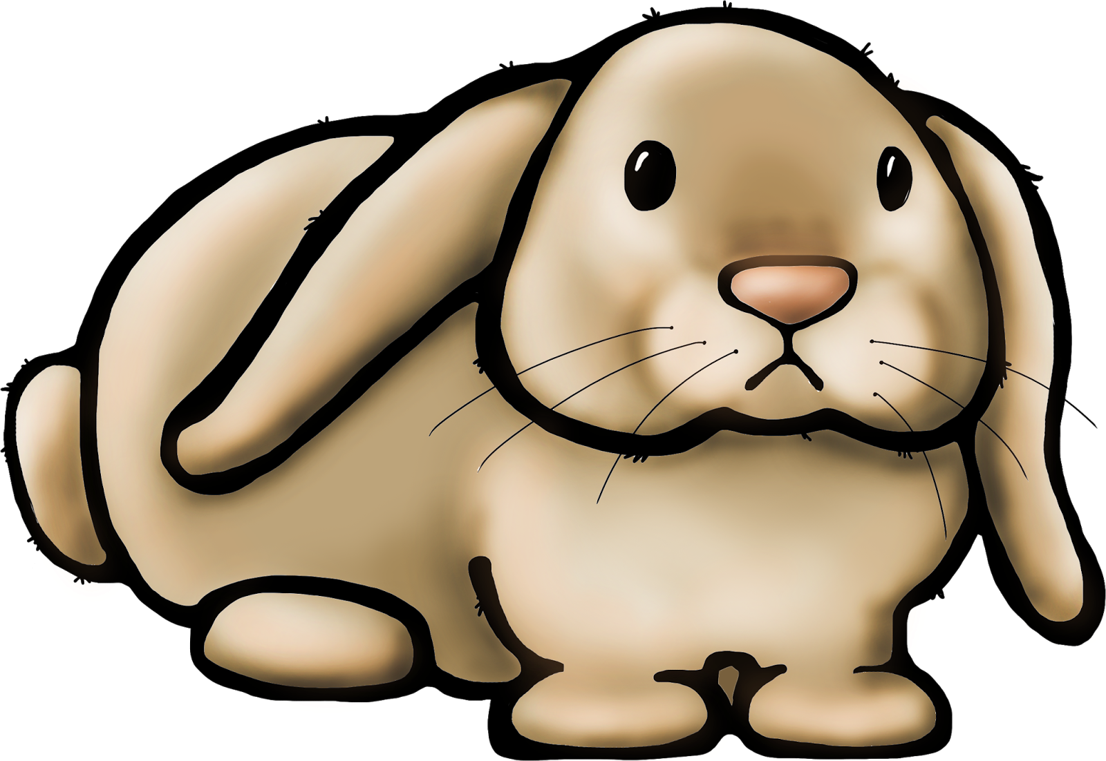 Rabbit Clipart Teacher - Cartoon (1600x1102)