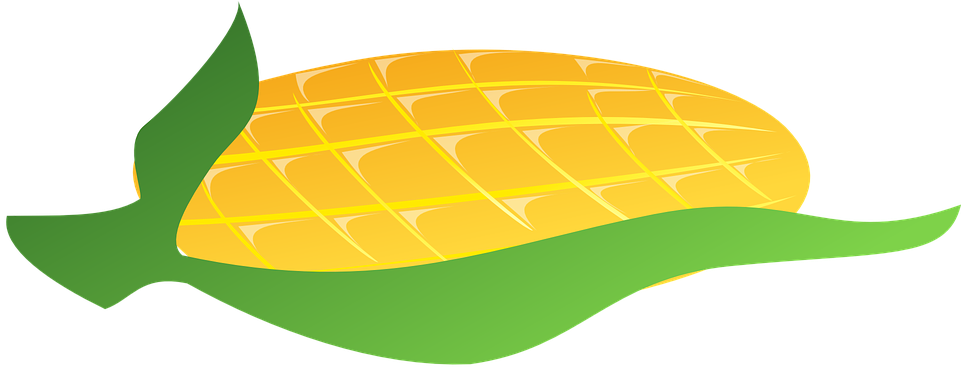 Rice Cliparts 13, - Mango (960x480)