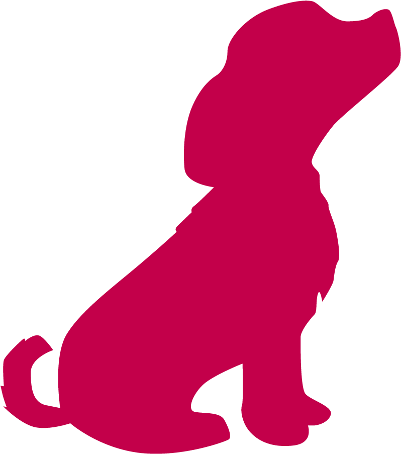 Grafiken-9 - Pet Theft Awareness Day 2018 (945x945)