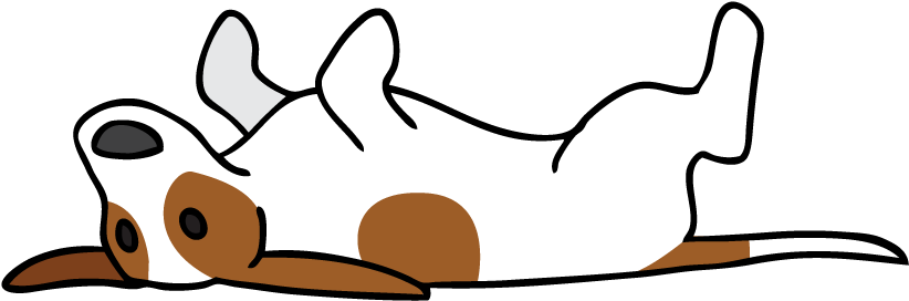 The Home Of Amber "nam" The Piebald Dachshund - The Home Of Amber "nam" The Piebald Dachshund (885x352)