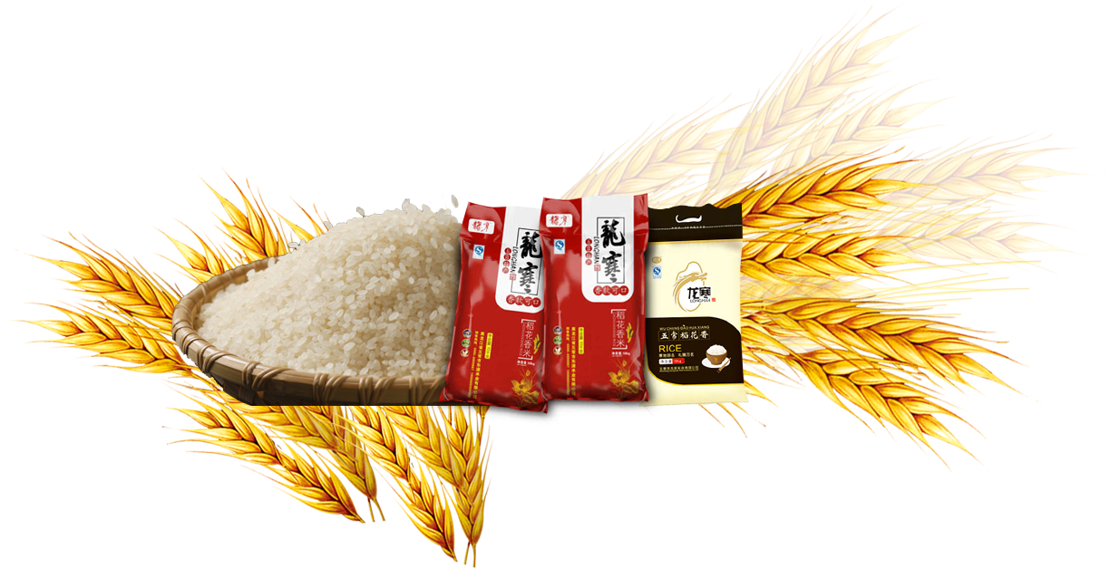 Rice Gadu Common Wheat Barley - Rice (1255x692)