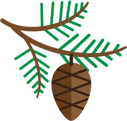 Pinecone - Conifer Cone (500x500)