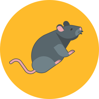 Trash Bin Cleaning Rodents - Icon Akustik Png (350x350)
