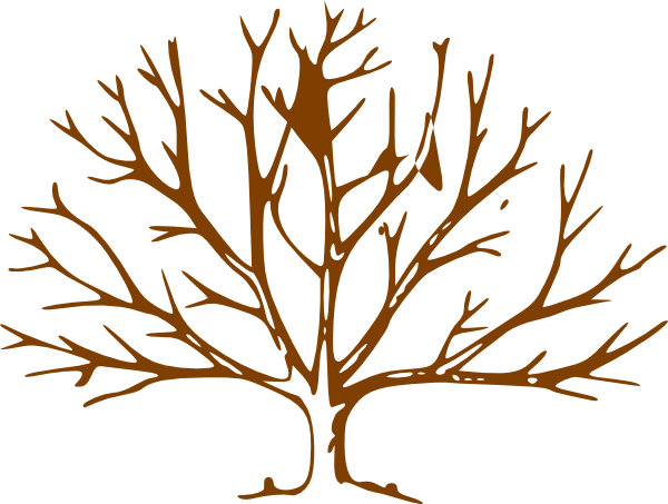 Tree Clip Art At Clkercom Vector Online Royalty Free - Drawings Of Small Trees (600x453)