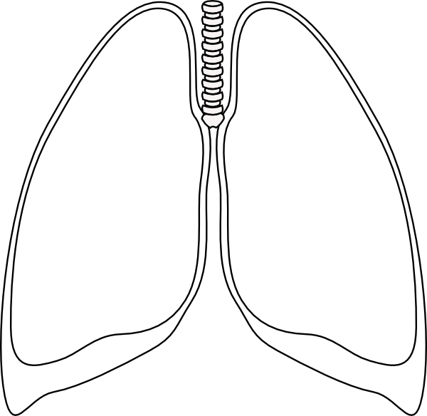 Lung Clear Lung Clip Art At Clker - Clip Art (1280x1246)