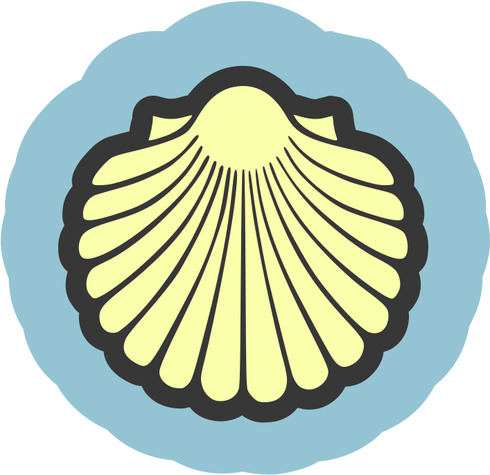 Medium Image - Scallop Shell Clip Art (800x800)