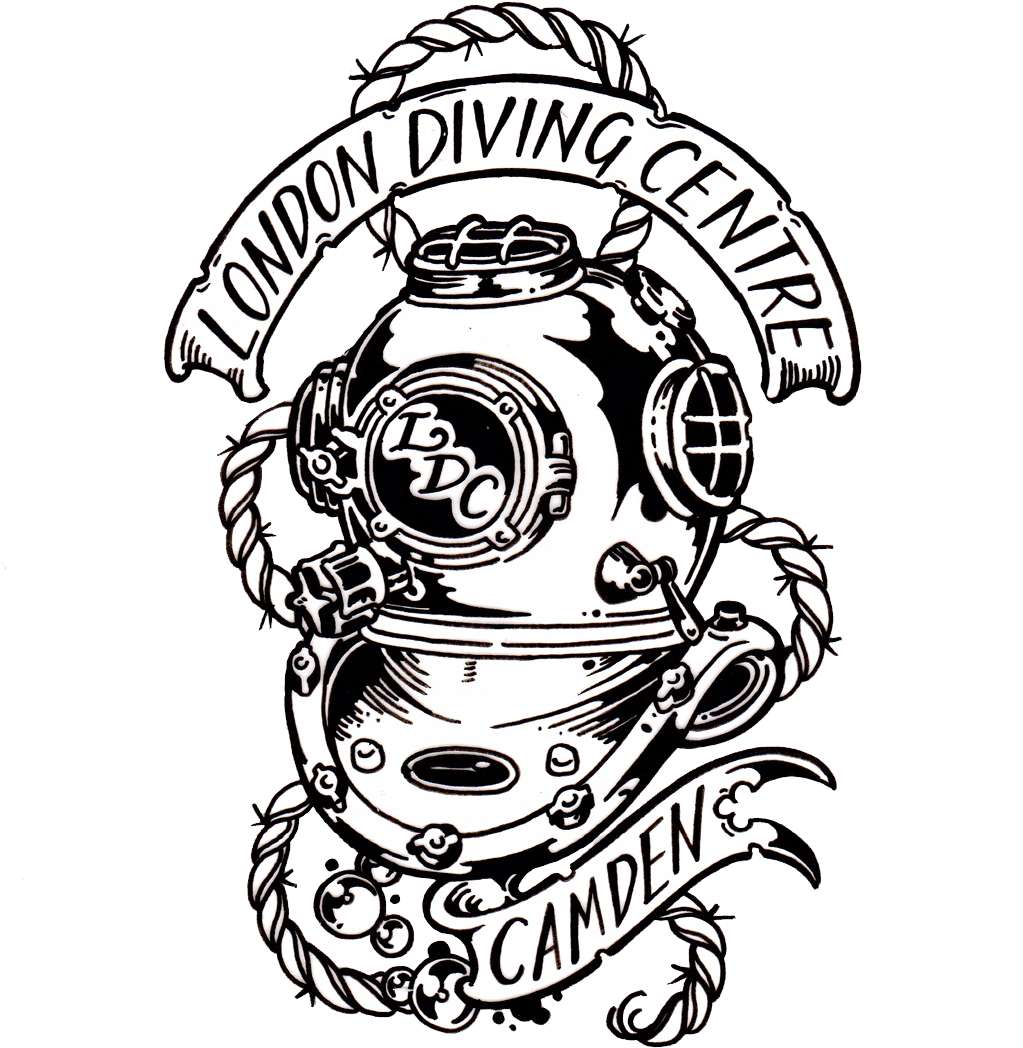 Illustration (1096x1096)