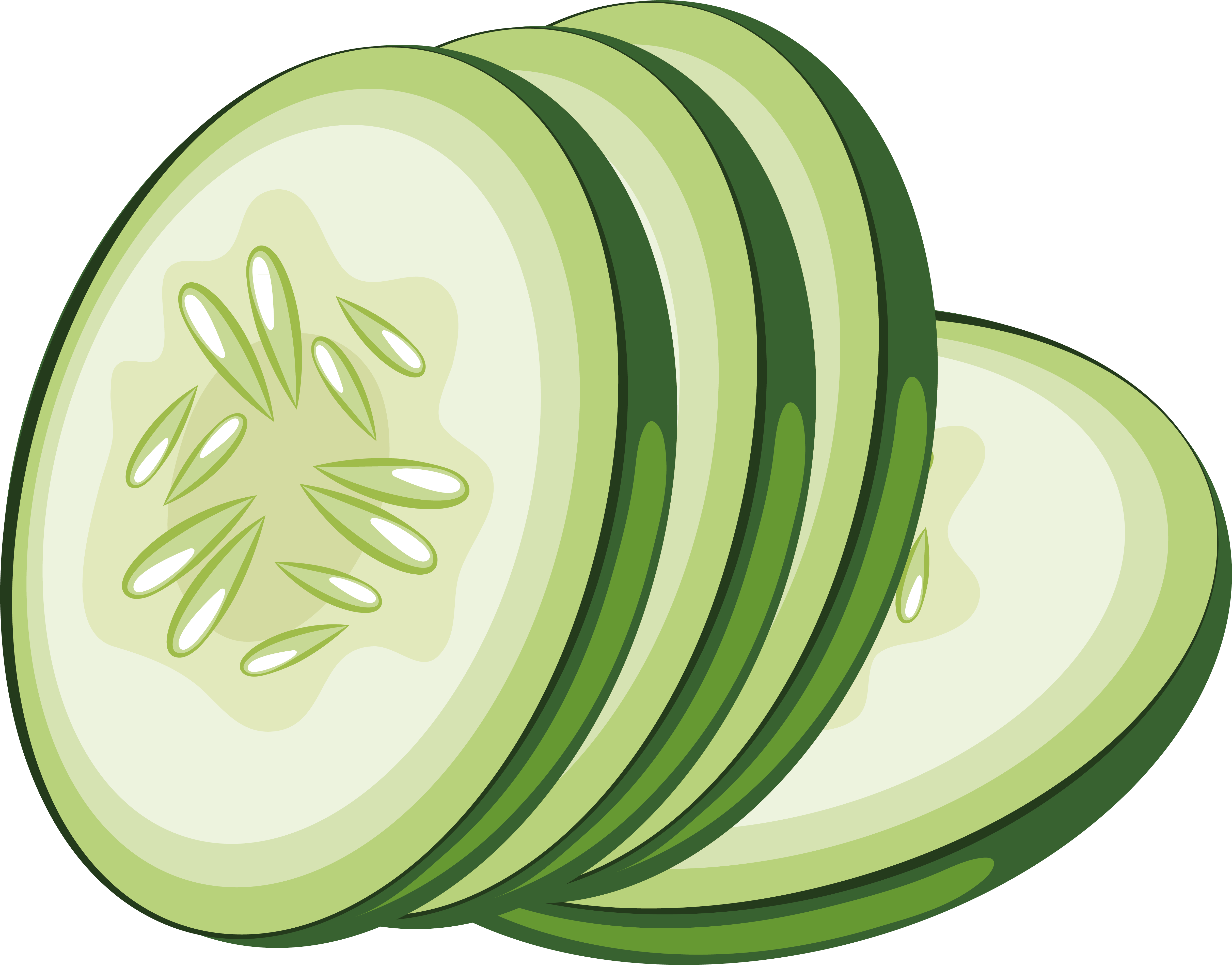 Vegetable Cucumber Icon - Cucumber Png (4850x3797)