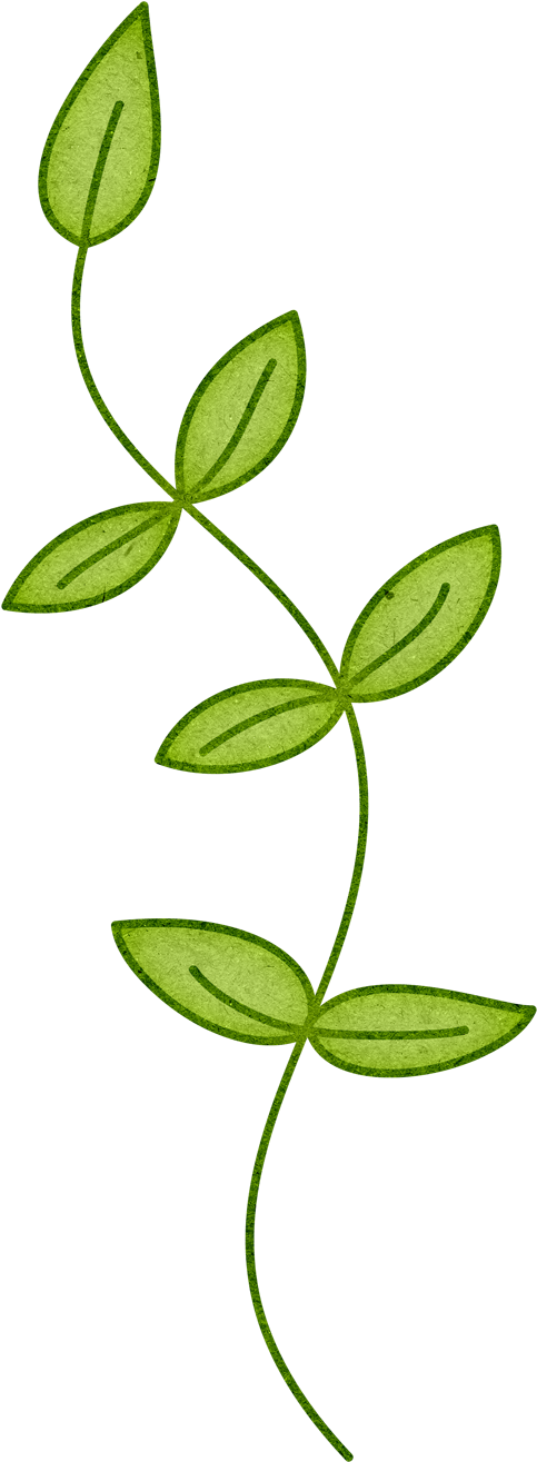 Branch Plant Stem Leaf Clip Art - Branch Plant Stem Leaf Clip Art (500x1332)
