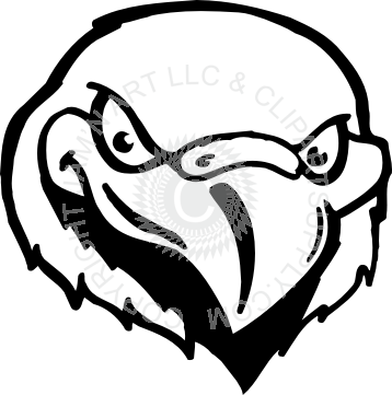 Head With Attitude - Cartoon Falcon Head Black And White (500x507)