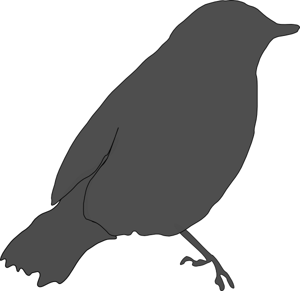Black Bird Clip Art (600x583)