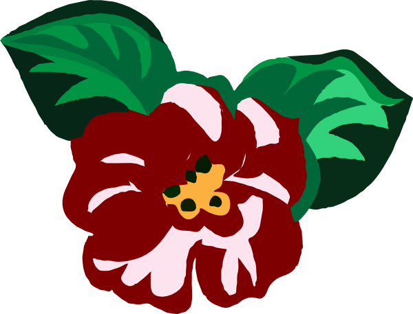 Scarlet - Begonia Clipart (600x457)