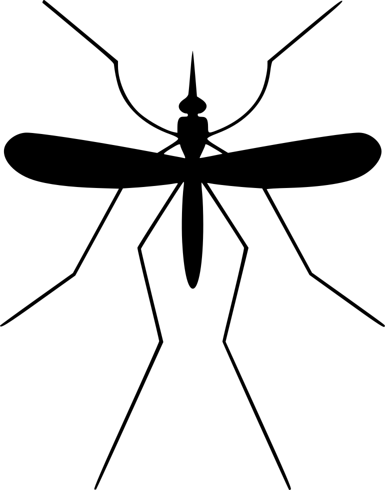 Mosquito Midge Komar Gnat Comments - Komar Png (770x980)