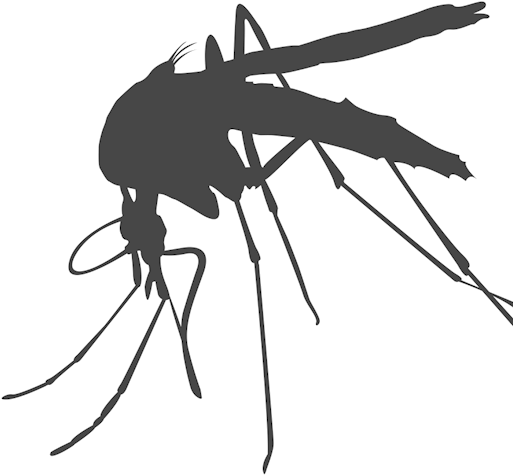 Drawn Mosquito Translucent - Mosquito Transparent Png (512x510)