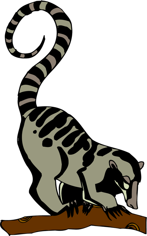 Lemur In A Tree - Clip Art (470x750)