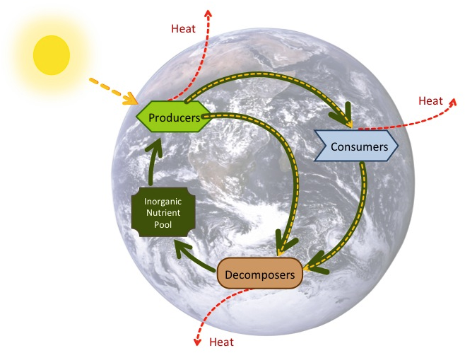 Construct A Diagram Of The Oxygen Carbon Dioxide Cycle - Planet Earth From Space Mag-neato's Automotive Car (720x540)