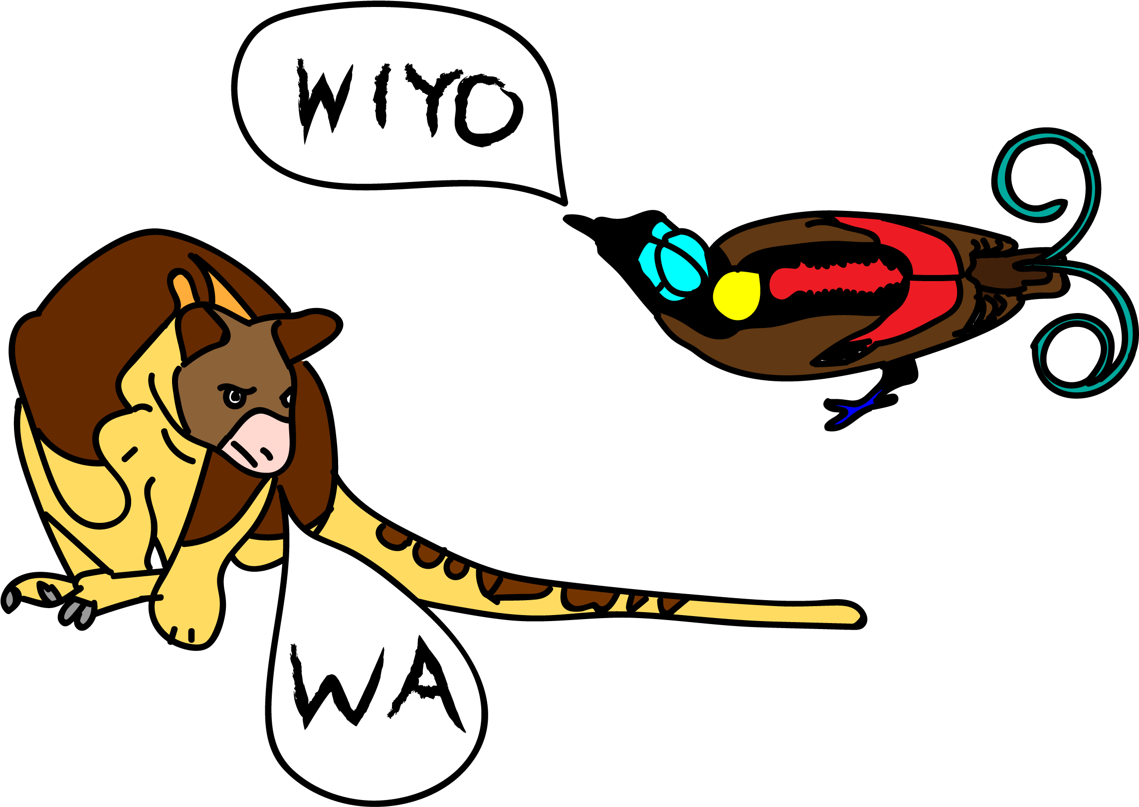 The Island Of New Guinea Is Home To Some Crazy Animals - The Island Of New Guinea Is Home To Some Crazy Animals (2458x1700)