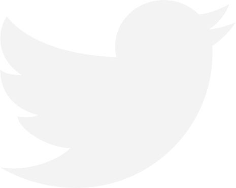 Social Feed - Twitter Logo White Vector (465x371)