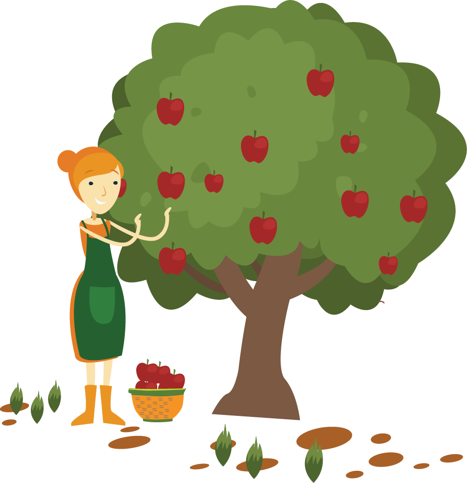 Apple Fruit Picking Clip Art - Cartoon Pick Apples (954x986)