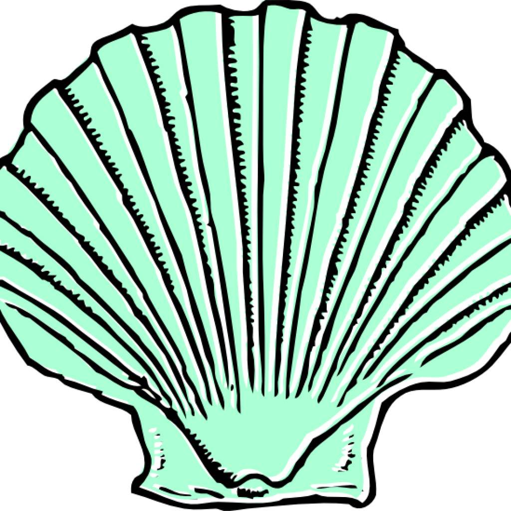 Seashell Clipart Aqua Seashell Clip Art At Clker Vector - Sea Shell Clip Art (1024x1024)