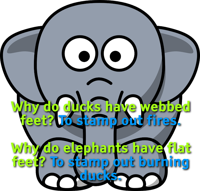 Why Do Ducks Have Webbed Feet To Stamp Out Fires - Elephant Toothpaste (690x659)