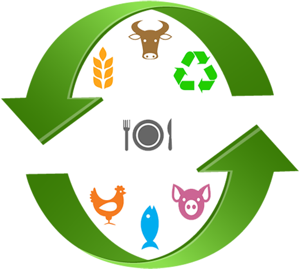 The Circular Economy - Corporation (650x589)