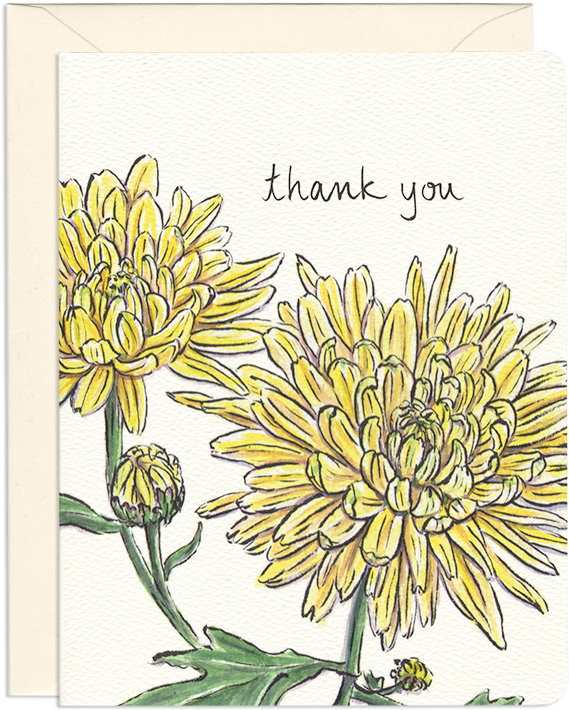 Chrysanthemum Thank You - Greeting Card (800x800)