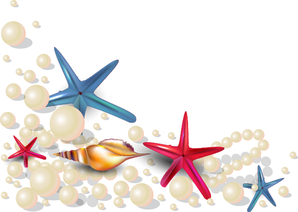 Oyster Seashell Pearl Euclidean Vector - Vector Estrela Do Mar Png (610x434)