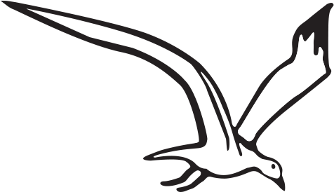 All Of Our Shell And Sea Life Products Are Natural, - All Of Our Shell And Sea Life Products Are Natural, (488x308)