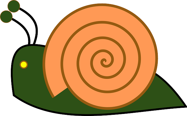 Snail, Insect, Shell, Slow, Slug, Slither, Slimy - Caracol Clip Art (640x397)