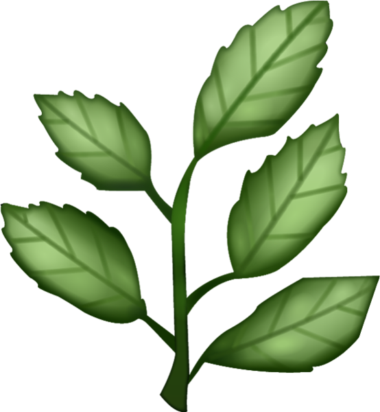 Herb Png Clipart - Herb Emoji (554x600)