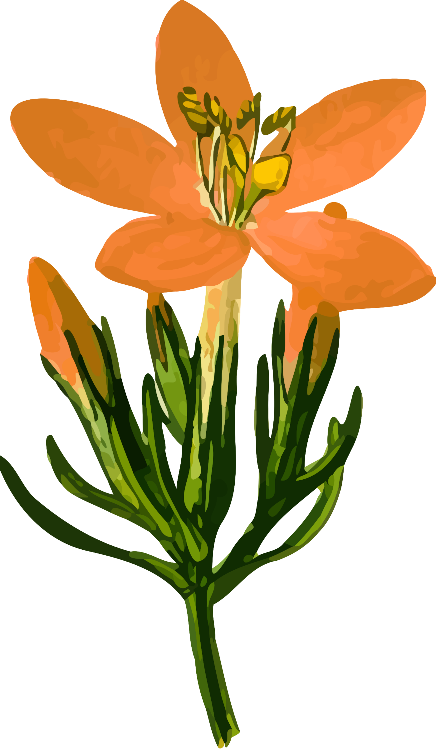 Big Image - Gentiane Png (1397x2400)