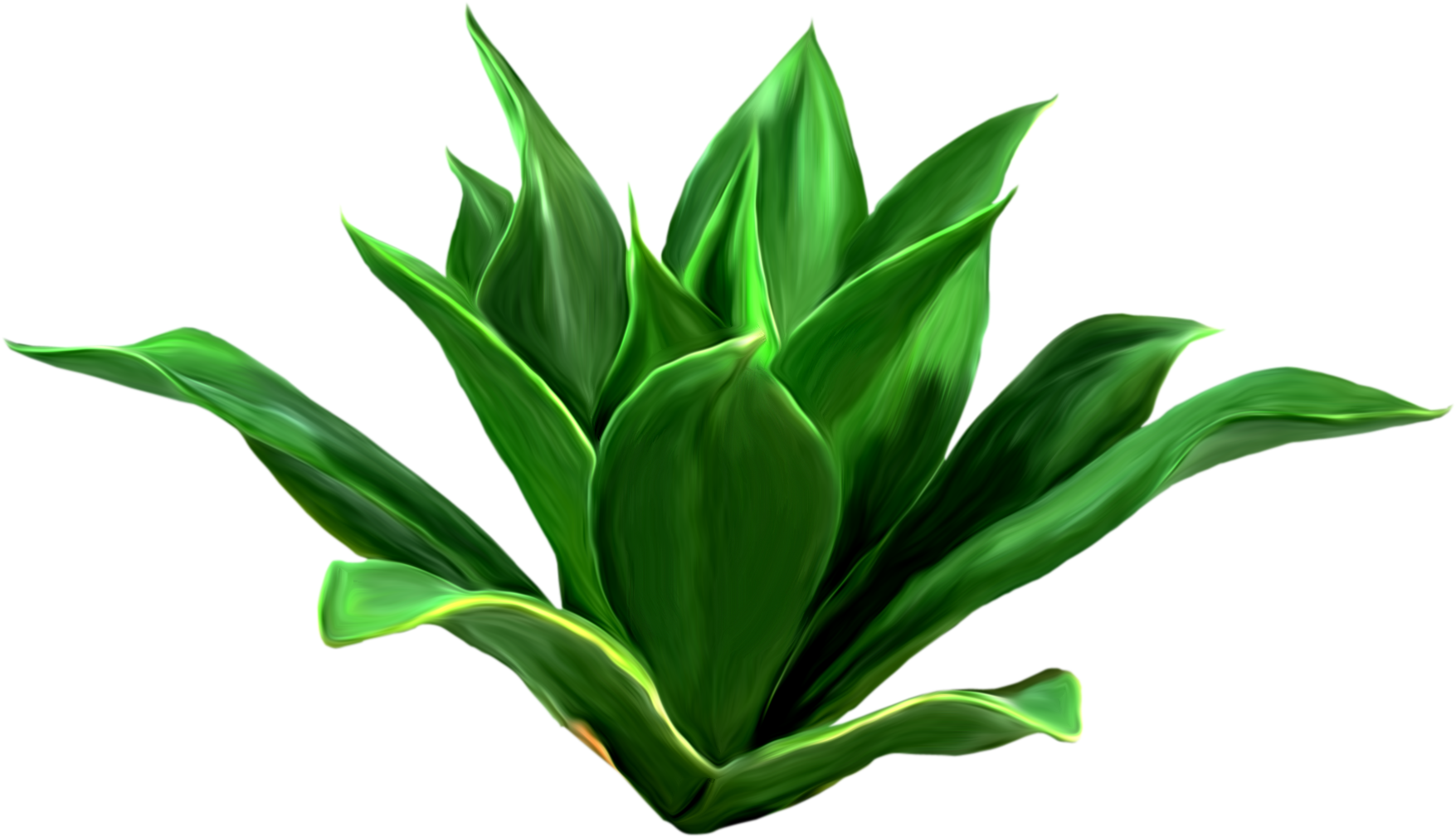 Leaf Download Seagrass Clip Art - Pianta Png (1845x1116)