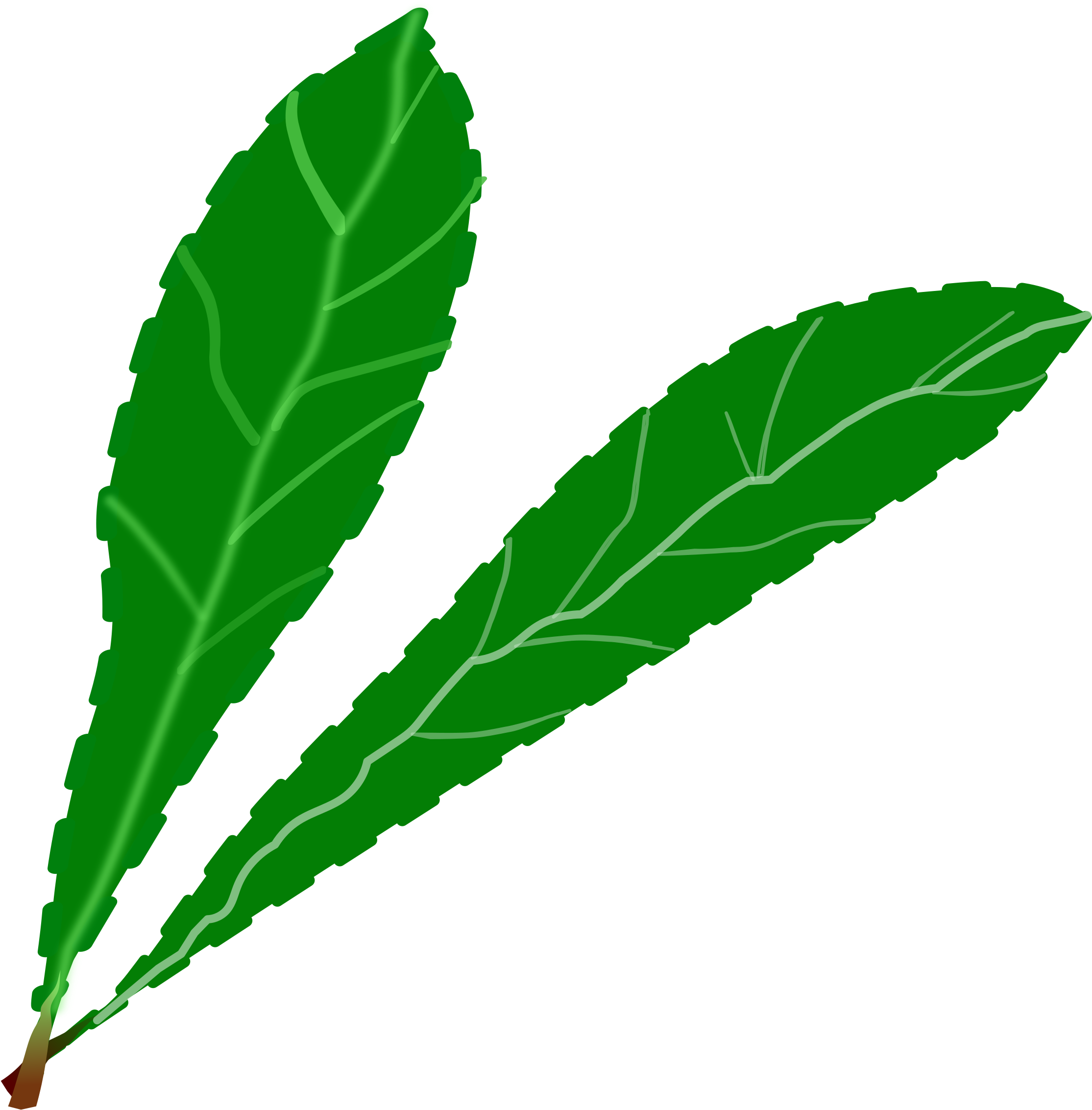 Big Image - Clip Art Green Leaves (2400x2400)